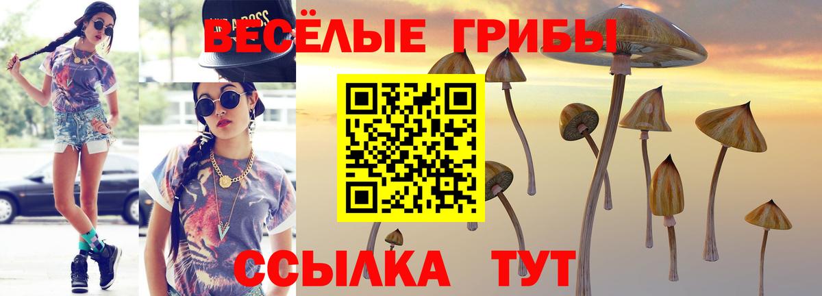 Псилоцибиновые грибы MAGIC MUSHROOMS  Псилоцибиновые грибы прущие грибы  Коломна  Вход с VPN 